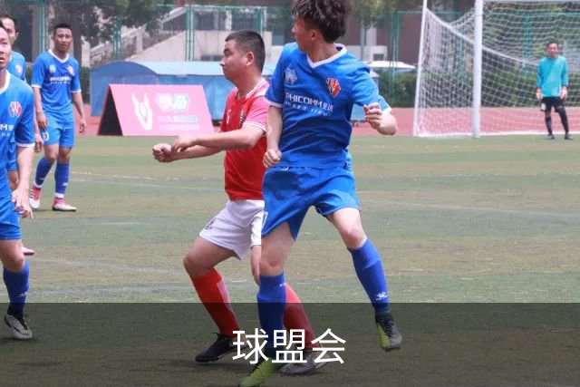 关于球盟会